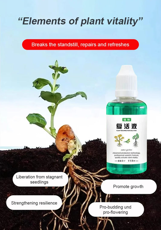 Universal plant and flower rejuvenation liquid